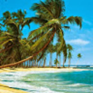 Meet your Posher, Don w